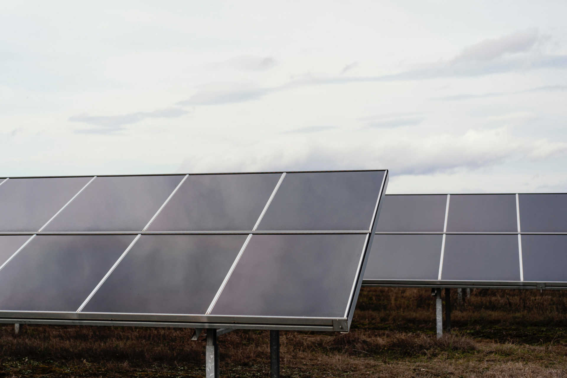 Learn more about the pros and cons of solar energy on the environment.