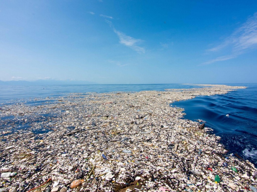 63c1cbf741d2b3955398