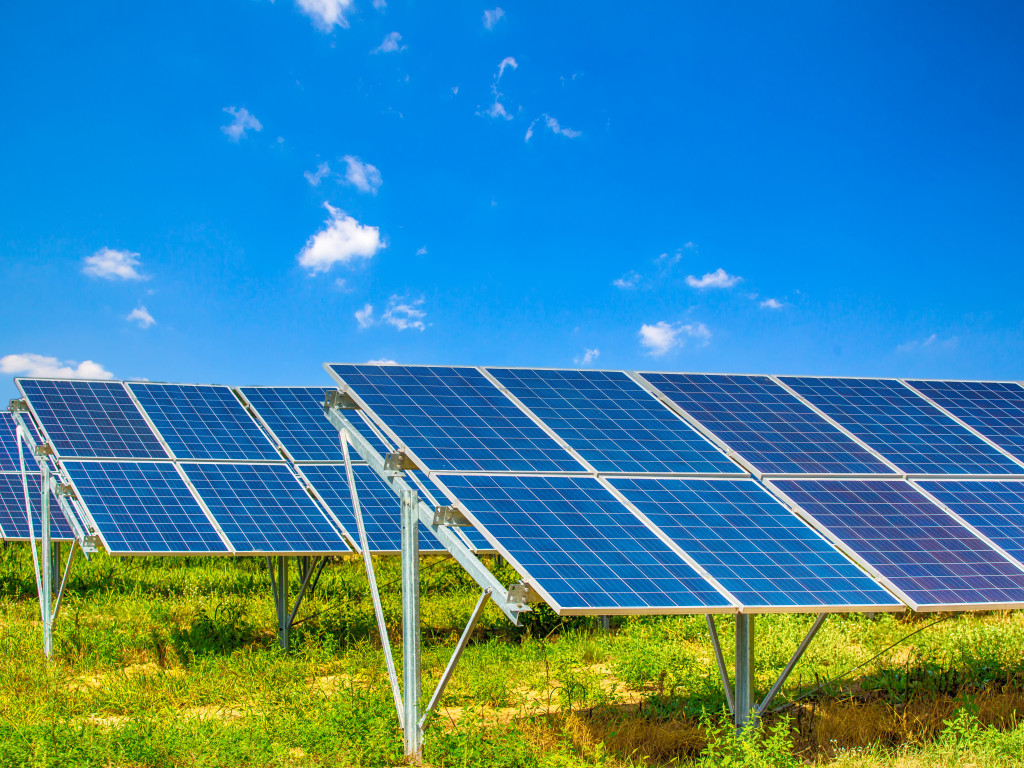 b874c12d7cf1558984a8