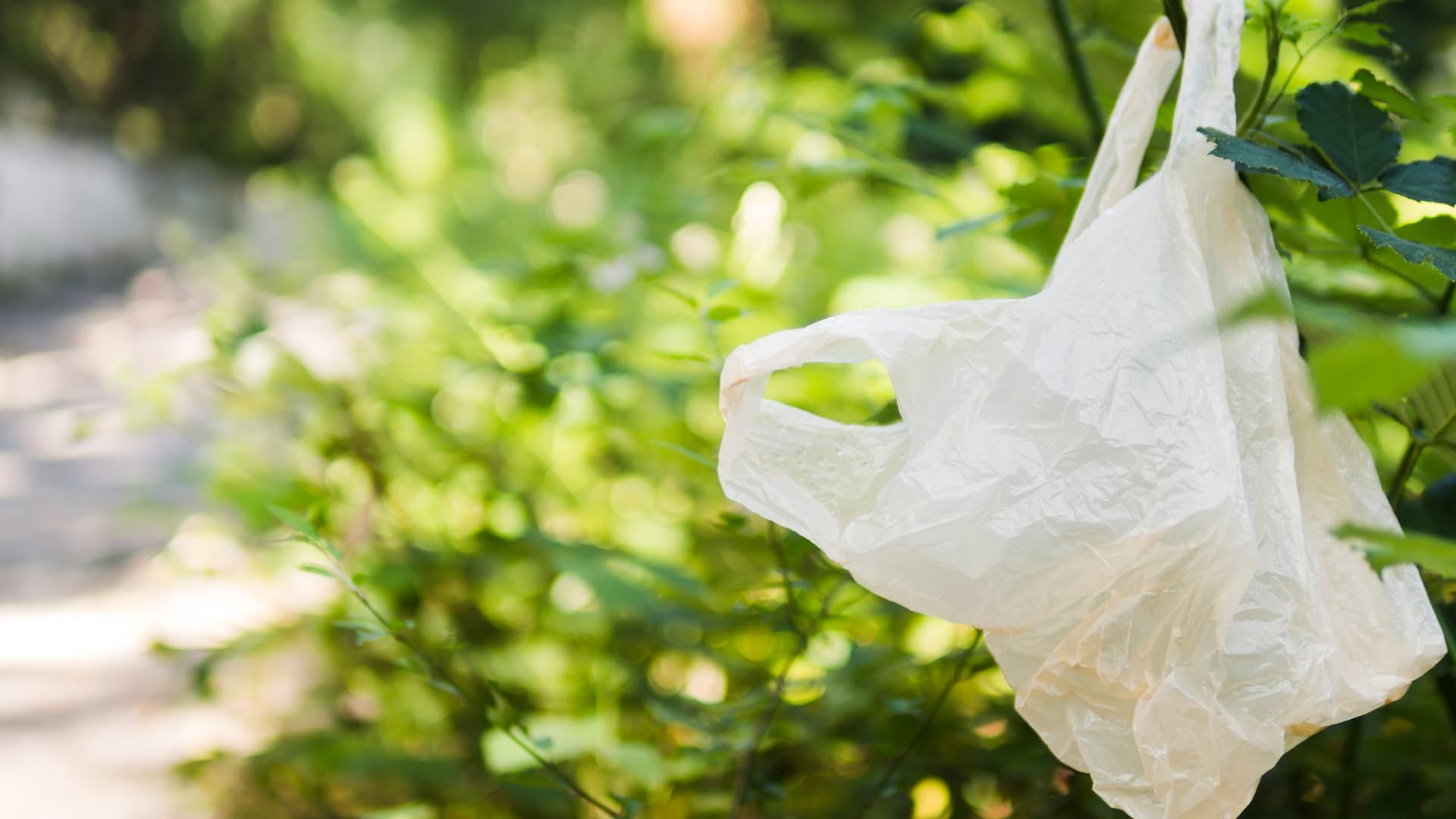 How long does it take for a plastic bag to decompose?