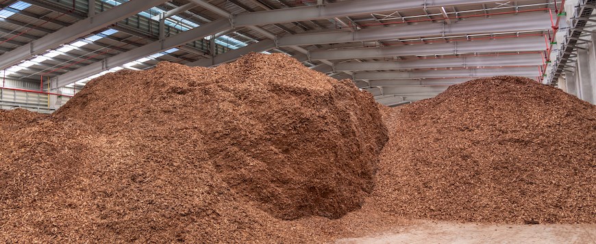 What are the advantages and disadvantages of biomass?