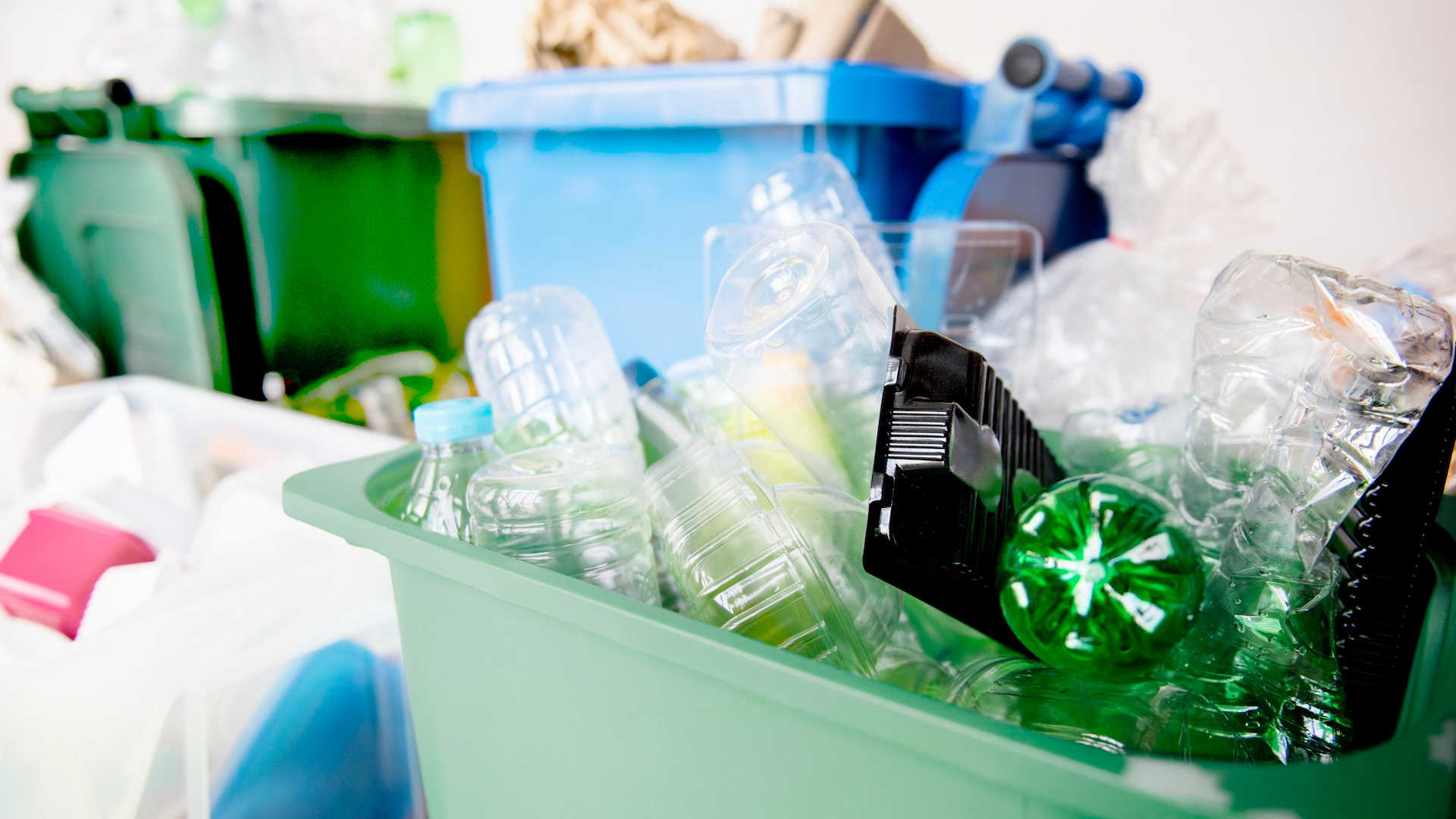 What can be recycled? A guide to recycling
